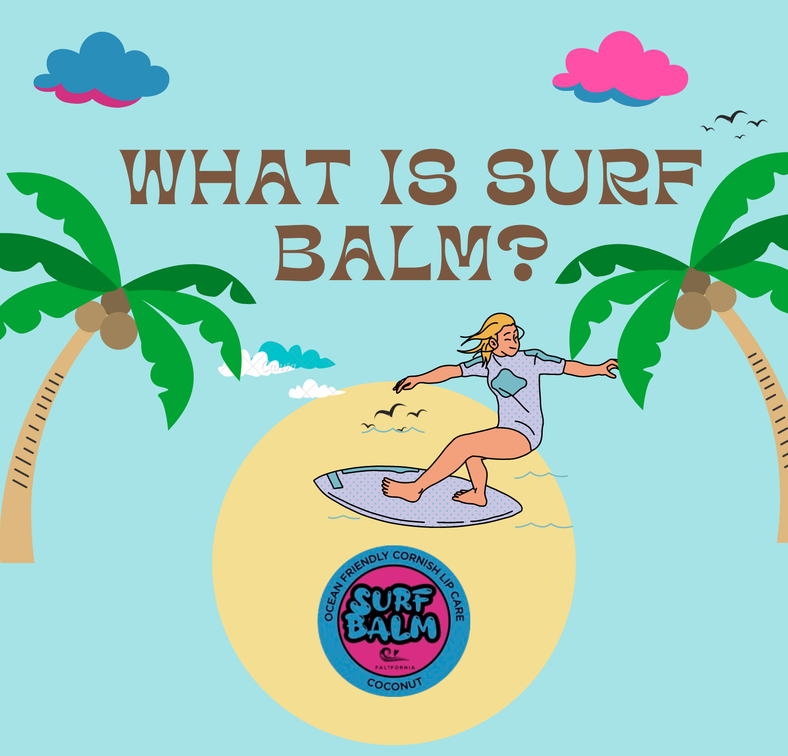 Load video: What is Surf Balm? Our Story